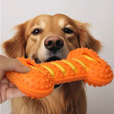 Dog Squeaky Bone Chew Toy | Durable Rubber Dental Play Set