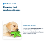 Dog Toothbrush Chew Toy