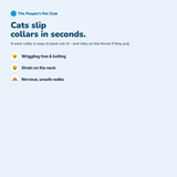 Cat Harness & Leash Set