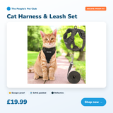 Cat Harness & Leash Set