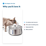 4L Pet Water Fountain