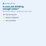 4L Pet Water Fountain