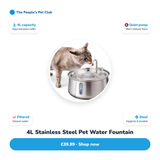 4L Pet Water Fountain