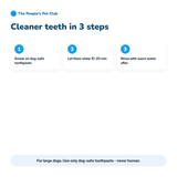 Dog Toothbrush Chew Toy