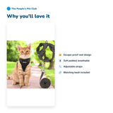 Cat Harness & Leash Set
