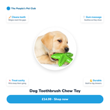 Dog Toothbrush Chew Toy
