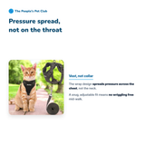 Cat Harness & Leash Set