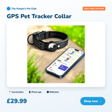 GPS Pet Tracker Collar