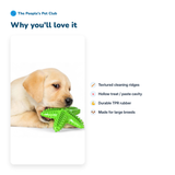 Dog Toothbrush Chew Toy