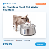 4L Pet Water Fountain