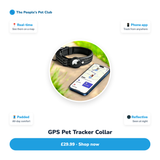 GPS Pet Tracker Collar