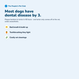 Dog Toothbrush Chew Toy