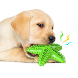 Dog Toothbrush Chew Toy | Rubber Teeth Cleaning Toy for Large Dogs