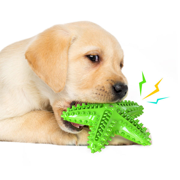 Dog Toothbrush Chew Toy | Rubber Teeth Cleaning Toy for Large Dogs