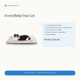 Everything you get