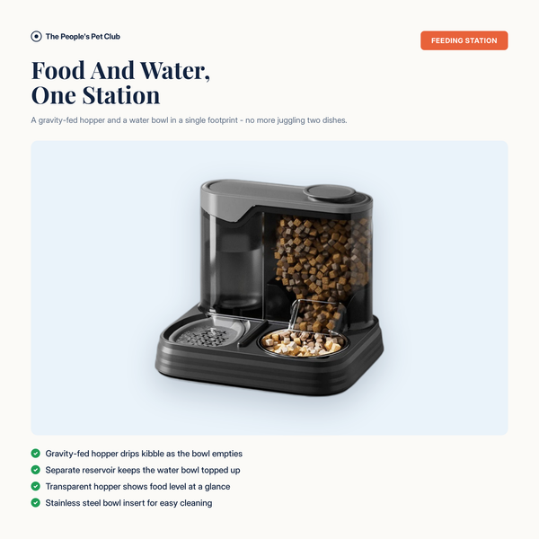 Ceramic Pet Water Fountain - combined food and water station overview