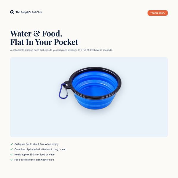 Collapsible Silicone Travel Bowl - hero