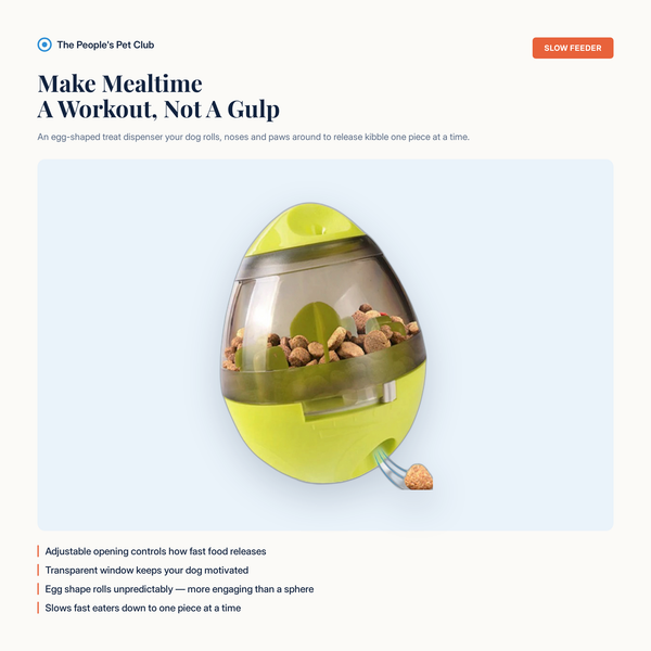 Slow Feeder Treat Dispenser Toy Ball - benefit overview