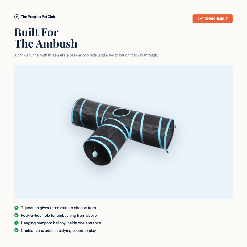 Collapsible Cat Tunnel - built for the ambush overview