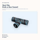 Meet the Peek-a-Boo Tunnel