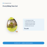 Everything you get