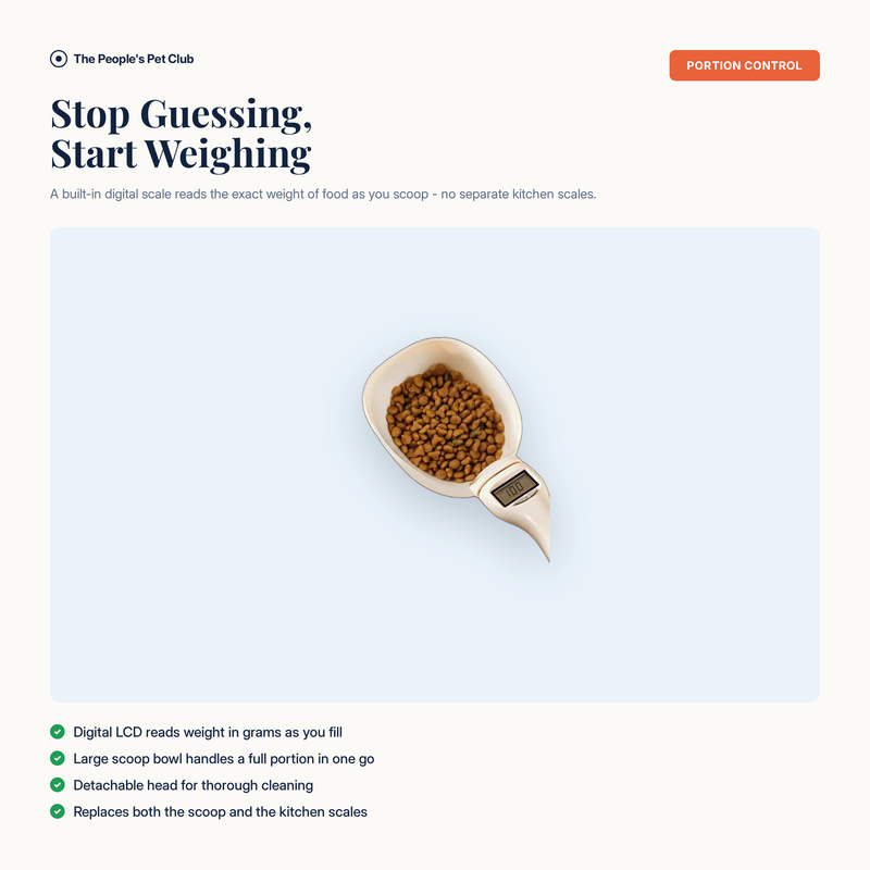 Digital Weighing Spoon overview