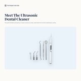 Ultrasonic Dog Dental Cleaner - meet
