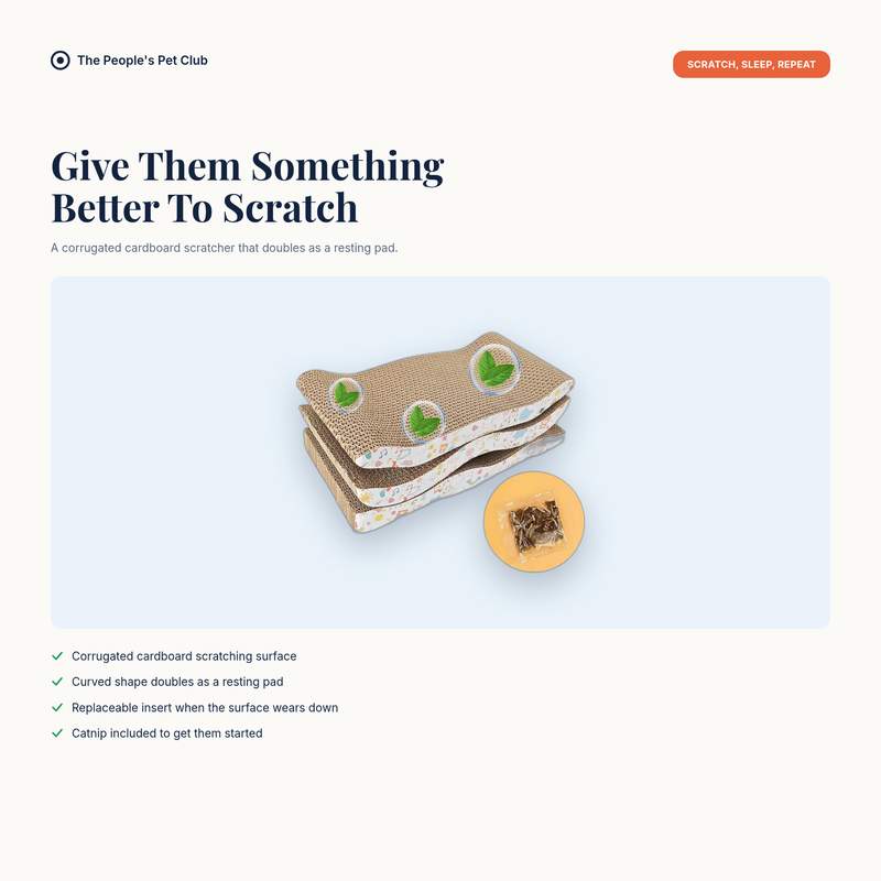 Cat scratching board - give them something better to scratch