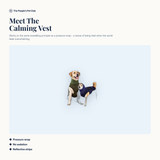 Meet the Calming Vest
