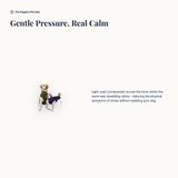 Gentle pressure, real calm - how it works