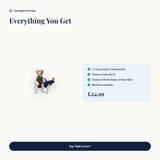 Everything included with the Calming Vest