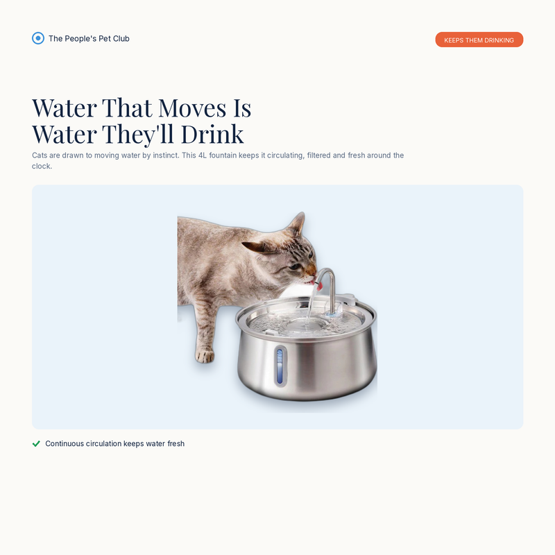 4L Pet Water Fountain - benefit overview