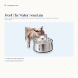 Meet the water fountain
